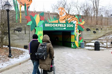 Brookfiele zoo holodau majic